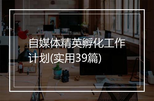 自媒体精英孵化工作计划(实用39篇)