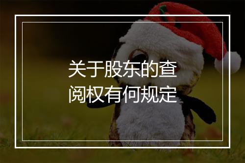 关于股东的查阅权有何规定