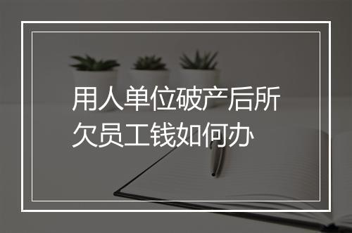 用人单位破产后所欠员工钱如何办