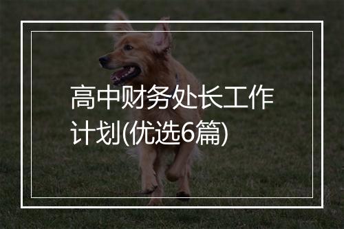 高中财务处长工作计划(优选6篇)