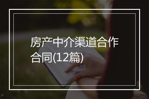 房产中介渠道合作合同(12篇)
