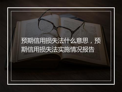 预期信用损失法什么意思，预期信用损失法实施情况报告