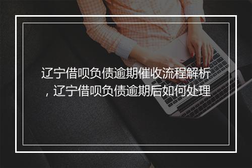 辽宁借呗负债逾期催收流程解析，辽宁借呗负债逾期后如何处理