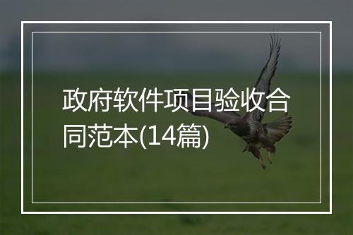 政府软件项目验收合同范本(14篇)
