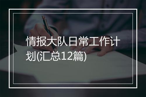 情报大队日常工作计划(汇总12篇)