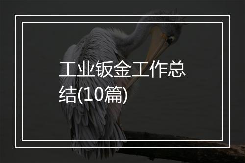 工业钣金工作总结(10篇)