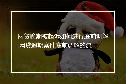 网贷逾期被起诉如何进行庭前调解,网贷逾期案件庭前调解的流程和注意事项