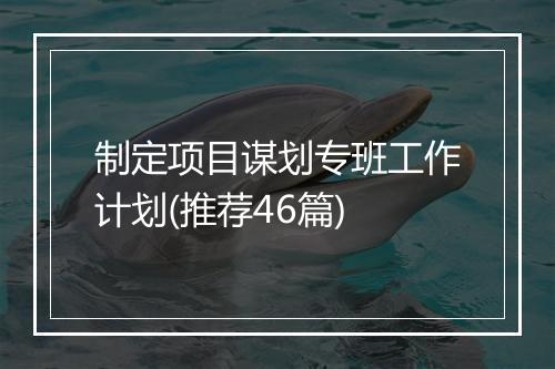 制定项目谋划专班工作计划(推荐46篇)