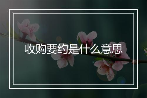 收购要约是什么意思