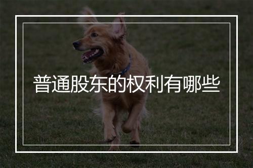 普通股东的权利有哪些