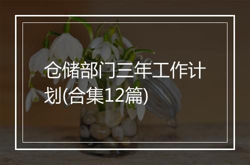 仓储部门三年工作计划(合集12篇)