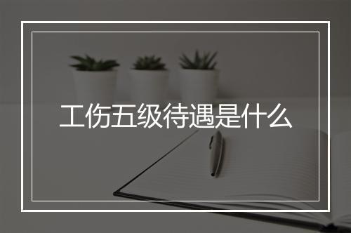 工伤五级待遇是什么