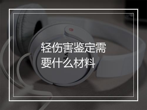 轻伤害鉴定需要什么材料