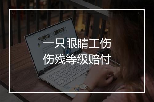 一只眼睛工伤伤残等级赔付