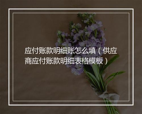 应付账款明细账怎么填（供应商应付账款明细表格模板）