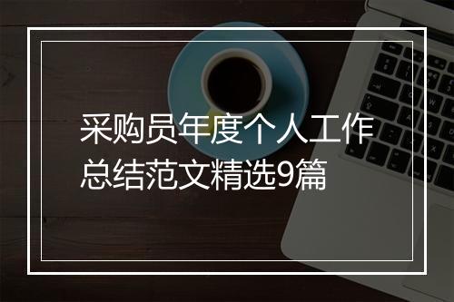 采购员年度个人工作总结范文精选9篇