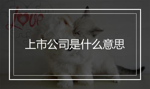 上市公司是什么意思