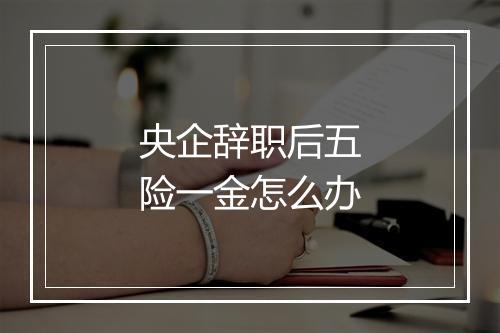 央企辞职后五险一金怎么办