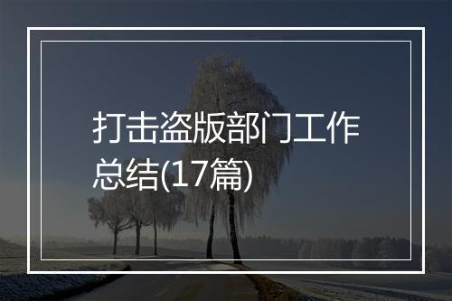 打击盗版部门工作总结(17篇)