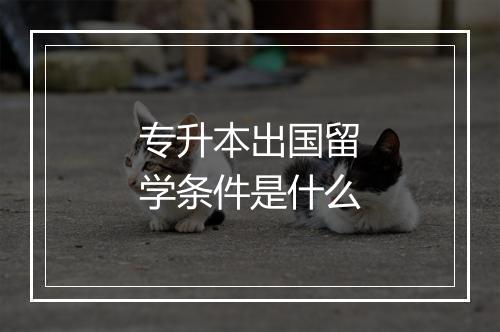 专升本出国留学条件是什么