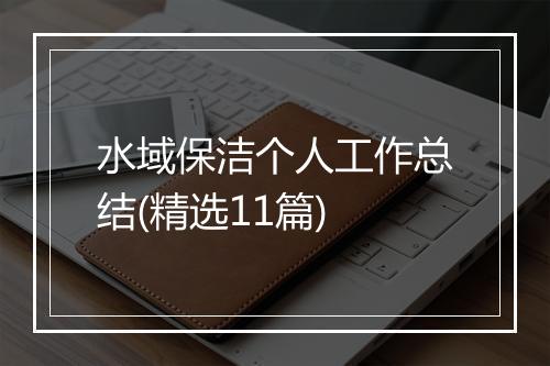 水域保洁个人工作总结(精选11篇)