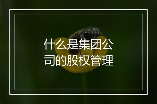 什么是集团公司的股权管理
