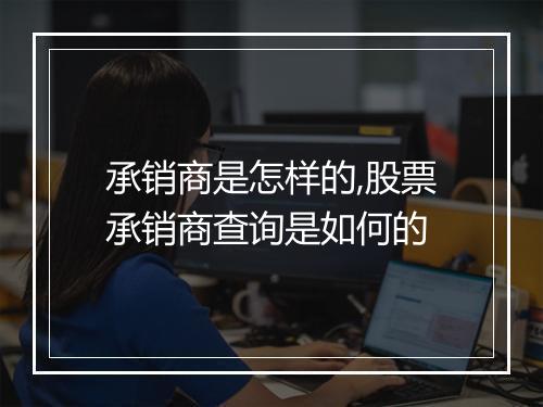 承销商是怎样的,股票承销商查询是如何的