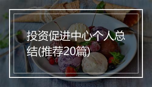 投资促进中心个人总结(推荐20篇)