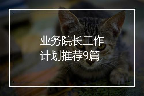 业务院长工作计划推荐9篇