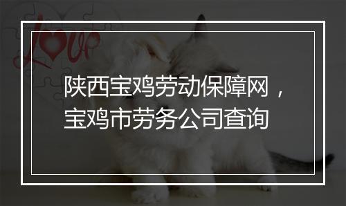 陕西宝鸡劳动保障网，宝鸡市劳务公司查询