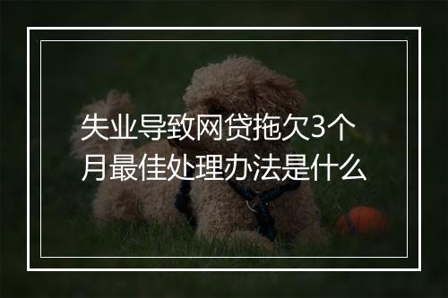 失业导致网贷拖欠3个月最佳处理办法是什么