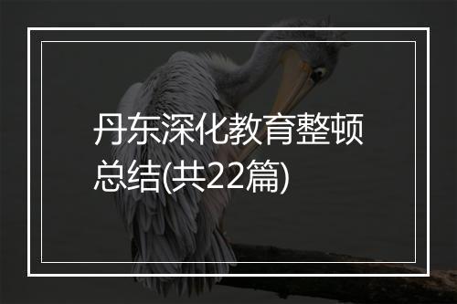 丹东深化教育整顿总结(共22篇)