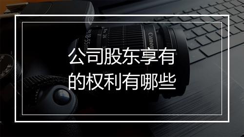 公司股东享有的权利有哪些
