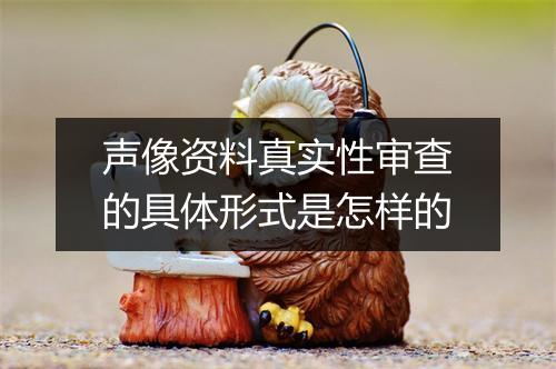 声像资料真实性审查的具体形式是怎样的