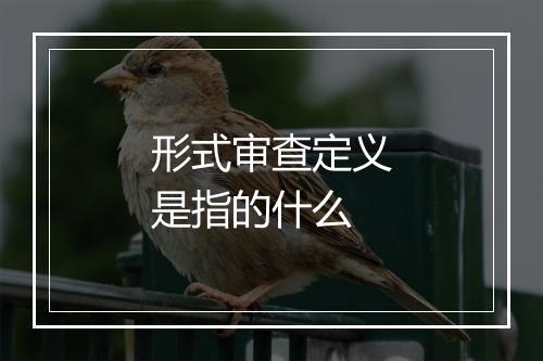 形式审查定义是指的什么