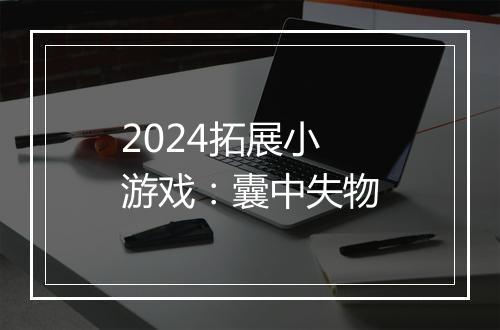 2024拓展小游戏：囊中失物