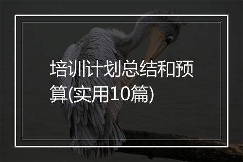 培训计划总结和预算(实用10篇)