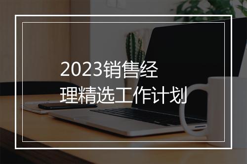 2023销售经理精选工作计划