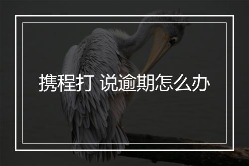携程打 说逾期怎么办