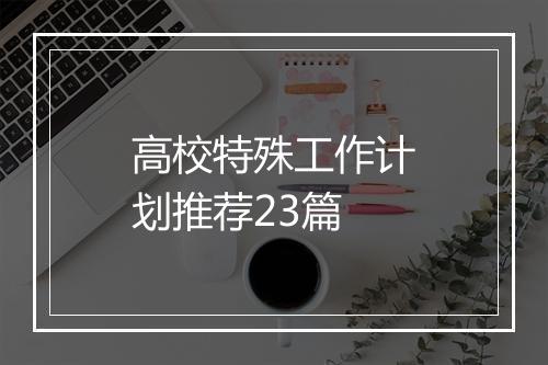 高校特殊工作计划推荐23篇