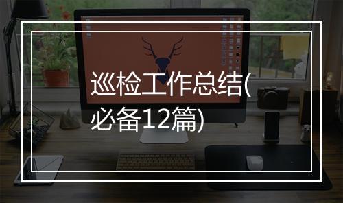 巡检工作总结(必备12篇)