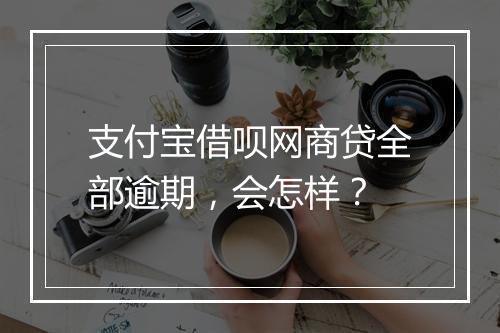 支付宝借呗网商贷全部逾期，会怎样？