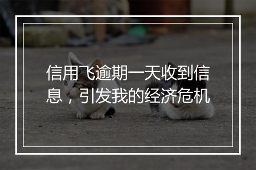 信用飞逾期一天收到信息，引发我的经济危机