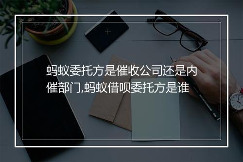 蚂蚁委托方是催收公司还是内催部门,蚂蚁借呗委托方是谁