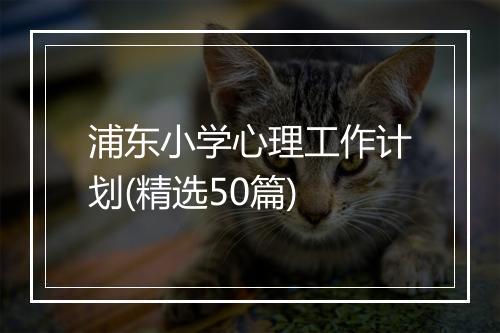 浦东小学心理工作计划(精选50篇)
