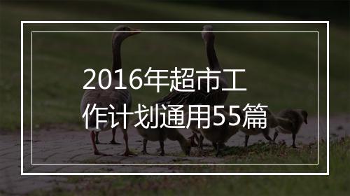 2016年超市工作计划通用55篇