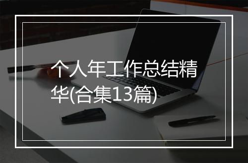 个人年工作总结精华(合集13篇)