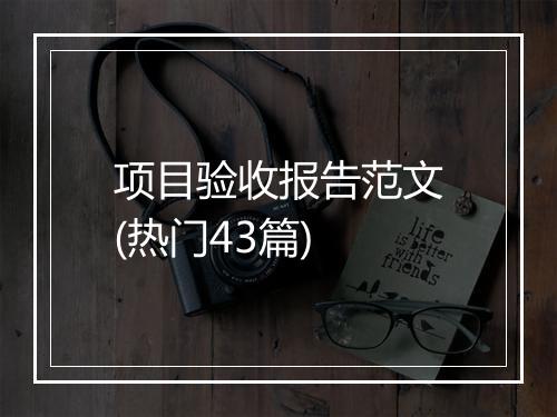 项目验收报告范文(热门43篇)