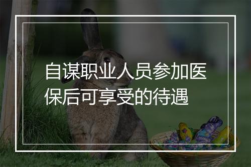 自谋职业人员参加医保后可享受的待遇