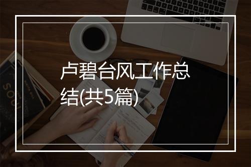 卢碧台风工作总结(共5篇)